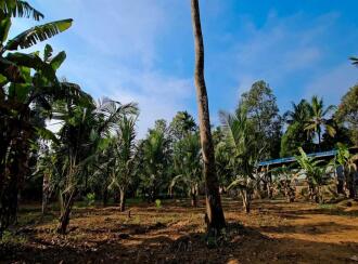 Residential Land for Sale in Kottayam, Thalayolaparambu, Maravanthuruth, NEAR BY TGM VIDYANIKETHAN SCHOOL MARAVANTHURUTHU