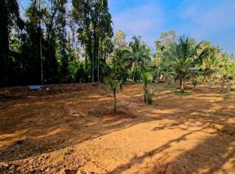 Residential Land for Sale in Kottayam, Thalayolaparambu, Maravanthuruth, NEAR BY TGM VIDYANIKETHAN SCHOOL MARAVANTHURUTHU