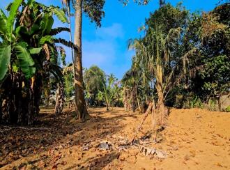 Residential Land for Sale in Kottayam, Thalayolaparambu, Maravanthuruth, NEAR BY TGM VIDYANIKETHAN SCHOOL MARAVANTHURUTHU