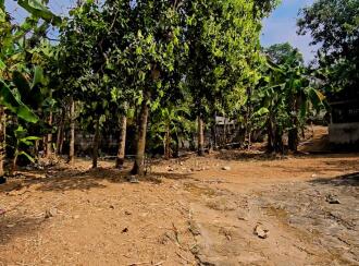 വാസയോഗ്യമായ വീട് വില്പനയ്ക്ക് Kollam, Pathanapuram, Pathanapuram, Close to St. Stephen's High School. Govt. Veterinary Hospital