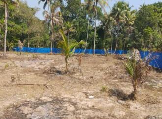 Residential Land for Sale in Alleppey, Cherthala, Puthiyakavu, . Opposite Puthiyakavu temple, near Pattanakkad