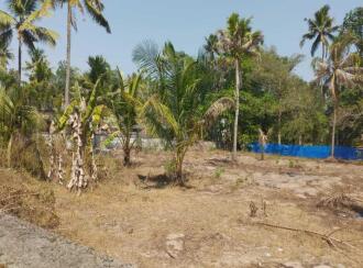 Residential Land for Sale in Alleppey, Cherthala, Puthiyakavu, . Opposite Puthiyakavu temple, near Pattanakkad