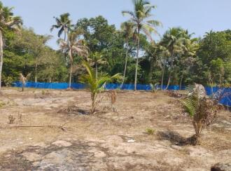 Residential Land for Sale in Alleppey, Cherthala, Puthiyakavu, . Opposite Puthiyakavu temple, near Pattanakkad