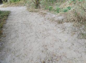 Residential Land for Sale in Alleppey, Cherthala, Puthiyakavu, . Opposite Puthiyakavu temple, near Pattanakkad