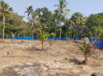 Residential Land for Sale in Alleppey, Cherthala, Puthiyakavu, . Opposite Puthiyakavu temple, near Pattanakkad
