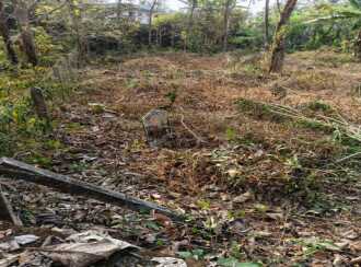 Residential Land for Sale in Kottayam, Ettumanoor, Kurumulloor, C.K. Kavala