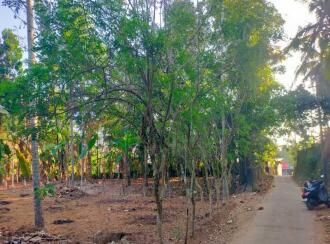 Residential Land for Sale in Kollam, Kottarakkara, Pulamon , KSRTC BUS STAND