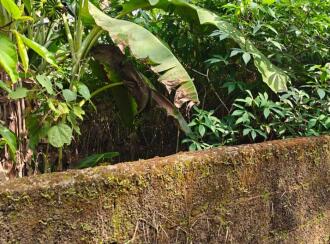 Residential Land for Sale in Kottayam, Kottayam town, Athirampuzha, Near Charis Bhavan Retreat Centre, Athirampuzha