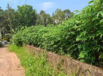 Residential Land for Sale in Kottayam, Kottayam town, Athirampuzha, Near Charis Bhavan Retreat Centre, Athirampuzha