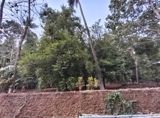 Residential Land for Sale in Ernakulam, Angamaly, Mookkannoor, Vathakkad