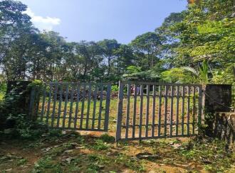 Residential Land for Sale in Pathanamthitta, Kozhencherry, Chenneerkara, st. george malankara syrian caholic church mathoor