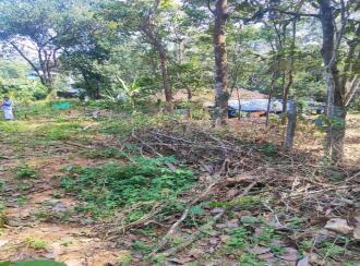 Residential Land for Sale in Pathanamthitta, Kozhencherry, Chenneerkara, st. george malankara syrian caholic church mathoor