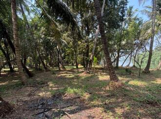 Residential Land for Sale in Kozhikode, Mankavu, Mankavu, 1.5 km from Lulu Mall behind Petrol pump Mankave , Calicut