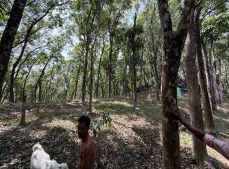 Residential Land for Sale in Pathanamthitta, Konni, Kalanjoor, Near Malanada temple