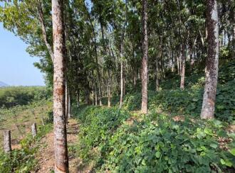 Residential Land for Sale in Pathanamthitta, Konni, Kalanjoor, Near Malanada temple