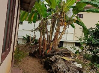 Residential Land for Sale in Trivandrum, Thiruvananthapuram, Pravachambalam, Near Mar Gregorius Convent School