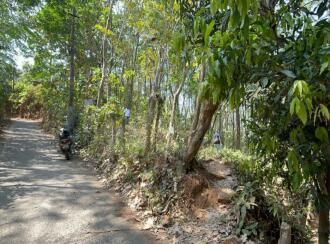 Residential Land for Sale in Thrissur, Chelakara, Chelakara Town, https://maps.app.goo.gl/PEwposKCJQy2PKBs7