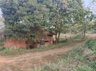 Agricultural Land for Sale in Kasargod, Bedadukka, Munnad, Kanhirathingal