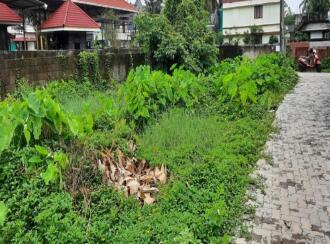 Residential Land for Sale in Ernakulam, Vyttila, Chambakkara, Near Chambakkara Market -Perikkad