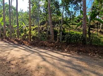 Residential Land for Sale in Kottayam, Kaduthuruthy, Njeezhoor, near CSB BANK