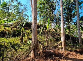 Residential Land for Sale in Kottayam, Kaduthuruthy, Njeezhoor, near CSB BANK