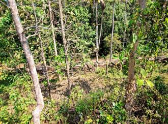 Residential Land for Sale in Kottayam, Kaduthuruthy, Njeezhoor, near CSB BANK