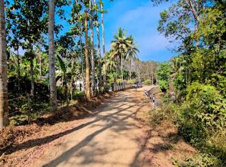 Residential Land for Sale in Kottayam, Kaduthuruthy, Njeezhoor, near CSB BANK