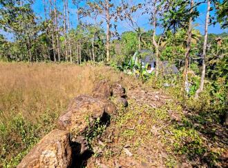 Residential Land for Sale in Kottayam, Kaduthuruthy, Njeezhoor, near CSB BANK