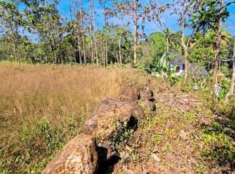 Residential Land for Sale in Kottayam, Kaduthuruthy, Njeezhoor, near CSB BANK