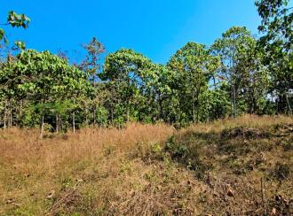 Residential Land for Sale in Kottayam, Kaduthuruthy, Njeezhoor, near CSB BANK