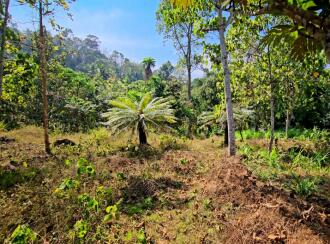 Residential Land for Sale in Kottayam, Kaduthuruthy, Njeezhoor, near CSB BANK