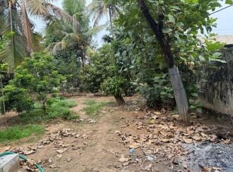 Residential House Villa for Sale in Ernakulam, Kalady, Kalady, Near Anitha Vidyalayam, Thannippuzha