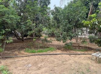 Residential House Villa for Sale in Ernakulam, Kalady, Kalady, Near Anitha Vidyalayam, Thannippuzha