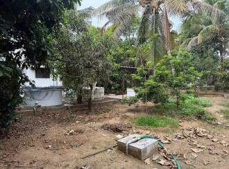 Residential House Villa for Sale in Ernakulam, Kalady, Kalady, Near Anitha Vidyalayam, Thannippuzha