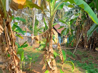 Residential Land for Sale in Trivandrum, Neyyattinkara, Neyyatinkara, next to Salvation Army Church