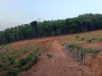 Residential Land for Sale in Palakkad, Mannarkkad, Pallikurup, Pallikurup, Tippu Sulthan Road