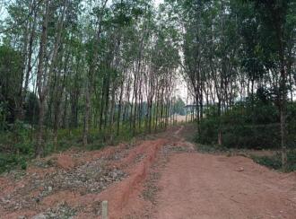 Residential Land for Sale in Palakkad, Mannarkkad, Pallikurup, Pallikurup, Tippu Sulthan Road
