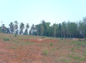 Residential Land for Sale in Palakkad, Mannarkkad, Pallikurup, Pallikurup, Tippu Sulthan Road