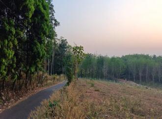 Residential Land for Sale in Palakkad, Mannarkkad, Pallikurup, Pallikurup, Tippu Sulthan Road