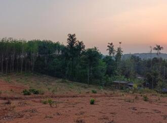 Residential Land for Sale in Palakkad, Mannarkkad, Pallikurup, Pallikurup, Tippu Sulthan Road