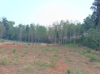 Residential Land for Sale in Palakkad, Mannarkkad, Pallikurup, Pallikurup, Tippu Sulthan Road