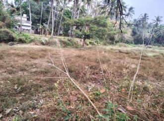 Residential Land for Sale in Thrissur, Chavakkad, Palayoor, Karangoly estate