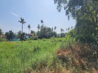Residential Land for Sale in Kottayam, Kumarakom, Kumarakom, near Kottayam–Kumarakam Road, near Ambalakuzhi kavala