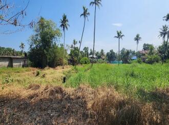 Residential Land for Sale in Kottayam, Kumarakom, Kumarakom, near Kottayam–Kumarakam Road, near Ambalakuzhi kavala