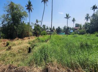 Residential Land for Sale in Kottayam, Kumarakom, Kumarakom, near Kottayam–Kumarakam Road, near Ambalakuzhi kavala