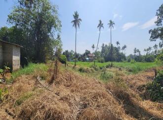 Residential Land for Sale in Kottayam, Kumarakom, Kumarakom, near Kottayam–Kumarakam Road, near Ambalakuzhi kavala