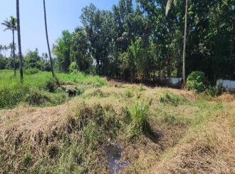 Residential Land for Sale in Kottayam, Kumarakom, Kumarakom, near Kottayam–Kumarakam Road, near Ambalakuzhi kavala