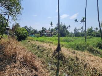 Residential Land for Sale in Kottayam, Kumarakom, Kumarakom, near Kottayam–Kumarakam Road, near Ambalakuzhi kavala
