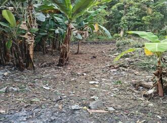 Residential Land for Sale in Ernakulam, Aluva, Edathala, Edathala police station