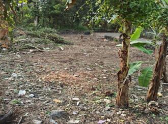 Residential Land for Sale in Ernakulam, Aluva, Edathala, Edathala police station